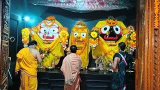 Jagannath Swami Mangala Arati Darshan jagannath [upl. by Doersten644]