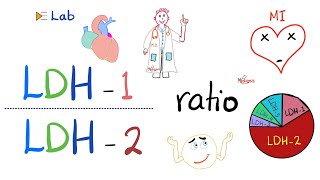 LDH1 to LDH2 Ratio and the flipped LDH  Lactate Dehydrogenase and Heart Attacks ❤️‍🩹 [upl. by Lorri]