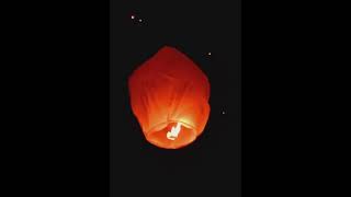 Lantern festival usa lantern festival lanterns washington florida lasvegas hawaii tourism [upl. by Ralli]