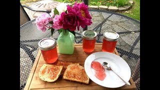 Peony Jelly  From Start To Finish [upl. by Ros]