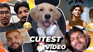 Cutest OMEGLE Video Ever ❤️😍 [upl. by Ynnek]