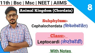 Subphylum Cephalochordata  Class Leptocardi  Classification Of Chordates  By Dadhich Sir [upl. by Eidnar]