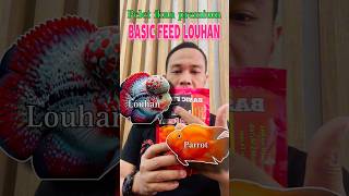 Premium  PELET LOUHAN DAN RED PARROT [upl. by Esital]