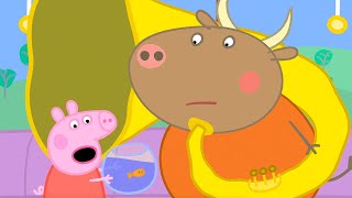 Goldie The Fishs Big Day Out 🚎  Peppa Pig Official Full Episodes [upl. by Zackariah1]