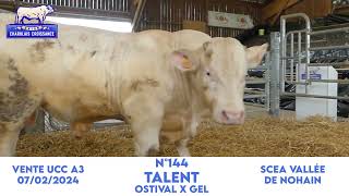 N°144 TALENT  SCEA VALLEE DE NOHAIN  OSTIVAL x GEL [upl. by Zendah197]