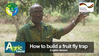 How to build a fruit fly trap Engl [upl. by Higley]