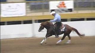 Smiley Starlight AQHA Superior Reining Stallion [upl. by Berna556]