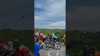 Il Tour de France a Barbaresco CN tra i Paesaggi Vitivinicoli di LangheRoero e Monferrato😍 [upl. by Rodge]