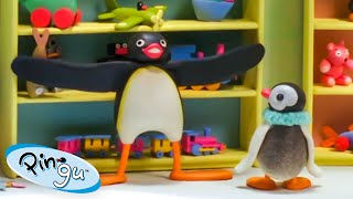 Playing with Pingu 🐧  Pingu  Official Channel  Cartoons For Kids [upl. by Nyletak679]