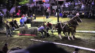 Draft Horse Pull 2013 Deerfield Fair NH Pulling Video 29 [upl. by Paxon]