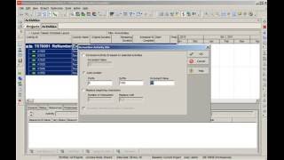 How to set Default Activity IDs numbering  Modify Activity Suffix and Prefix  Primavera P6  Tip [upl. by Herrle324]