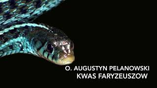 O Augustyn Pelanowski Kwas Faryzeuszow [upl. by Ribble578]