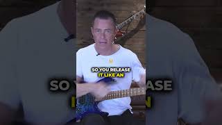 CRAZY Whammy BAR TRICK guitartrick guitarist guitar [upl. by Imhskal739]