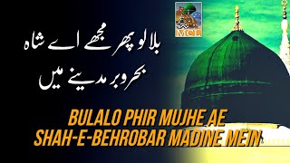 Bulalo Phir Mujhe Ae Shah E Behrobar Madine Mein  new Kalam 2024  miladcommetelingampet [upl. by Ludlew]