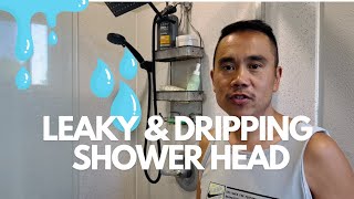 How To Fix A Dripping And Leaky Shower Head  Delta shower cartridge replacement [upl. by Catt]