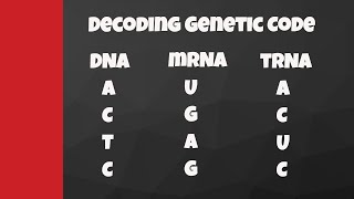 Decode from DNA to mRNA to tRNA to amino acids [upl. by Yance443]