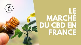 Le marché et la consommation du CBD en France [upl. by Brazee]