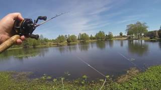 Pond Fishing Shaw AFB [upl. by Erbma]