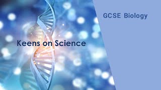 GCSE Biology Calculting magnification [upl. by Nidnal]