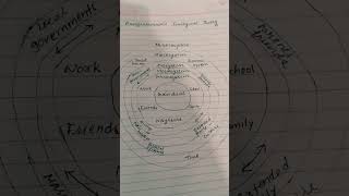 Bronfenbrenners Ecological Theory ctet ctetexam ctet2024 shorts youtubeshortsyoutubeshorts [upl. by Atiuqahc112]