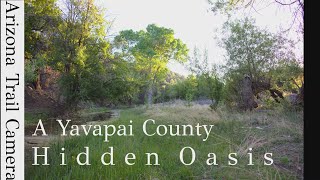 A Yavapai County Hidden Oasis [upl. by Ahsenyl]