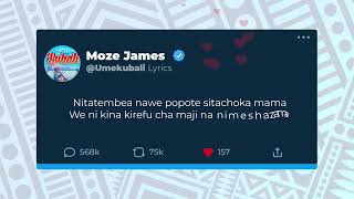 Moze James  Umekubali  Official lyric Video [upl. by Nhabois]