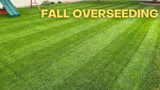 Overseeding Lawn  Steps Tips Tricks For A Successful Overseed  Cool Season Grass [upl. by Ahsenyt]