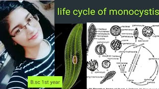 Life cycle of Monocystis Trophozoite Detailed explanation [upl. by Kered111]