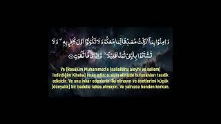 Beautiful Quran Recitation with Turkish Translation I Surah Al Baqarah 4042 I Wadee Al Yemeni [upl. by Johannes]