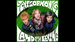 🇺🇸 The Schizophonics – Land Of The Living Full Album 2017 Vinyl [upl. by Ocirederf602]