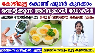 കോഴിമുട്ട കൊണ്ട് ഷുഗർ കുറക്കാം ഞെട്ടിക്കുന്ന അറിവുമായി ഡോക്റ്റർ Dr Bhagya tharol Arogya malayalam [upl. by Gnel]