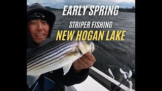 Early Spring Striper Fishing At New Hogan Lake [upl. by Dnomyad]