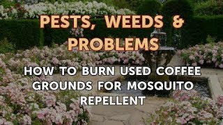 How to Burn Used Coffee Grounds for Mosquito Repellent [upl. by Ives]