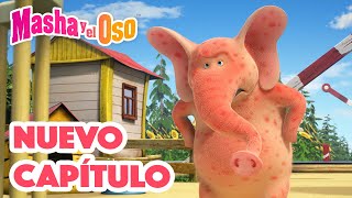 👱‍♀️ Masha y el Oso 🐻 Nuevo capítulo 🐽🍼 ¡Los Nuevos Chicos del Barrio [upl. by Bywaters]