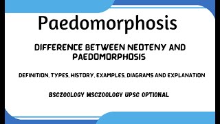 Paedomorphosis  Difference between Neoteny and Paedomorphosislectures handwritten notes [upl. by Dib]