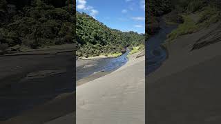 Bethells Beach Sand Dunes [upl. by Refinnaej179]