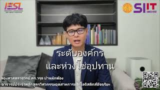 Industrial Engineering and Smart Logistics IESL  SIIT Thammasat University [upl. by Tabbie]