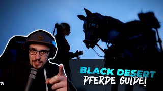 Der ULTIMATIVE Pferde Guide  Black Desert Online  PinkyTV [upl. by Fonsie540]