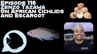 Ep 110  Zenzo Tazawa on African Cichlids and Escargot [upl. by Leunas]