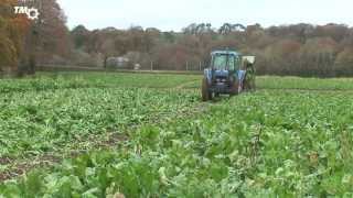 FORD NH 8340 amp ARMER SALMON BEET HARVESTER [upl. by Catrina]