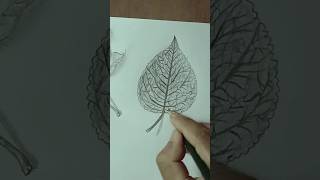 easy way leaf drawing tutorials for beginners  leaf drawing step by step drawing sketch painting [upl. by Bushore]