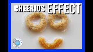 The Cheerios effect [upl. by Lamont267]