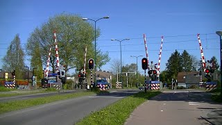 Spoorwegovergang Soest Zuid  Dutch railroad crossing [upl. by Llebiram625]