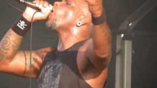 Sepultura  quotDustedquot live Hellfest 2014 [upl. by Ghiselin]