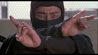 Sho Kosugi vs Silver Ninja Recut [upl. by Otsuj]