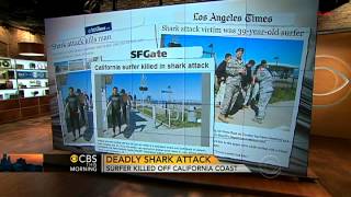 Shark attack near Santa Barbara Calif [upl. by Gnahc50]