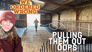 We got it wrong shed renovation begins  crowbars and grinders☹️ [upl. by Akina]