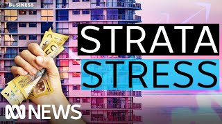 Strata debts sending more Aussie homeowners bankrupt  The Business  ABC News [upl. by Fleeman]