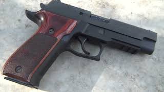 Sig Sauer P226 Elite 40 SampW [upl. by Lohner662]