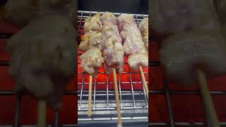 tori and stamina street food yakitori japan [upl. by Ilzel143]